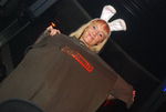 Bunnies On Party 5710193