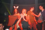 Bunnies On Party 5710391