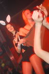 Bunnies On Party 5710395