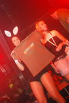 Bunnies On Party 5710397