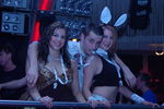 Bunnies on Party 5711259