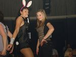 Bunnies on Party 5799419