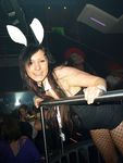 Bunnies on Party 5799431