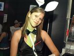 Bunnies on Party 5799516