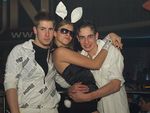 Bunnies on Party 5799572