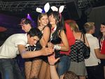 Bunnies on Party 5799589