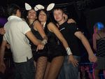 Bunnies on Party 5799592
