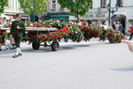 1.Mai am Stadtplatz 5860773