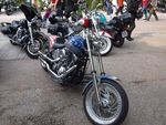 Harley und Chopper Benefiz Event (Bad Hall) 5862299