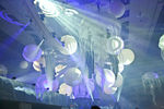 Sensation - Ocean of White Vienna 2009 58863482