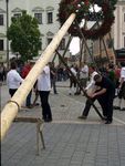 1.Mai am Stadtplatz 5891071