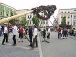 1.Mai am Stadtplatz 5891076