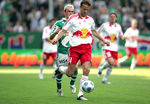 SK Rapid Wien : FC Red Bull Salzburg 5935228