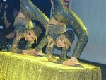 Miss Vienna Wahl 2005 600144