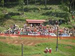 Motocross Weyer - Staatsmeisterschaft 6022056