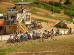 Motocross Weyer - Staatsmeisterschaft 6022073