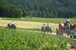 Traktortreffen in Sittersdorf 6110532