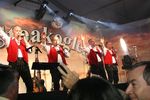 Die Stoakogler - 40 Goldene Jahre 6139627