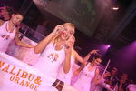Party of the Caribbean with Dj Scotty 6226428
