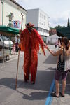 Stadtfest Traun 6265970