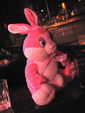 Oster Bunny Party 629567