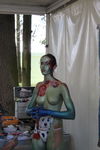 World Bodypainting Festival 6335689