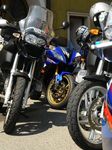 Haslacher Bikertreffen 6430450