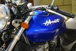 Haslacher Bikertreffen 6430457