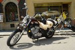 Haslacher Bikertreffen 6430464