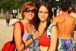 BeeFree 2009 6437479