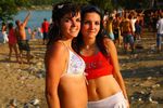 BeeFree 2009 6437488