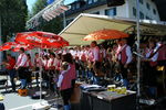 11. Thalgauer Marktfest   6535916