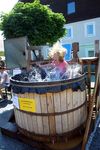 11. Thalgauer Marktfest   6536007