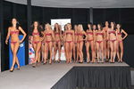 Miss Bikini OÖ Finale 2009 6545725