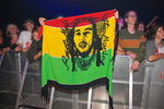 Chiemsee Reggae Summer 09 - Artists 6548184