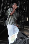 Chiemsee Reggae Summer 09 - Artists 6548892