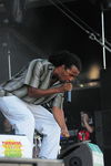 Chiemsee Reggae Summer 09 - Artists 6548900