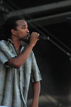 Chiemsee Reggae Summer 09 - Artists 6548902