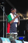 Chiemsee Reggae Summer 09 - Artists 6548938