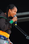 Chiemsee Reggae Summer 09 - Artists 6562842