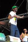 Chiemsee Reggae Summer 09 - Artists 6562916