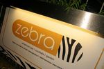 Zebra - Eleven am Freitag