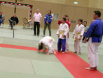 Judo 783937