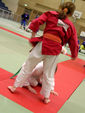 Judo 783947