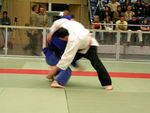 Judo 783953