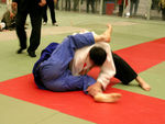 Judo 783998