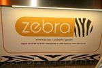 Zebra - Eleven am Freitag