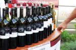 Vinobranie 2009 6739574