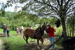 Traditioneller Bauernmarkt Mondsee 6748679