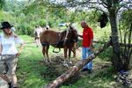 Traditioneller Bauernmarkt Mondsee 6748681